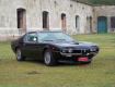 Alfa Montreal